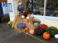 Fahrt in den Norden - Aufenthalt in Niagara-on-the-Lake