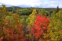 Algonquin Park - Blick von der Aussichtsplattform des Besucherzentrums