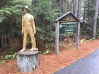 Algonquin Park - Spaziergang auf dem Logging Trail