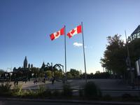 Stadtrundfahrt in Ottawa - Blick auf Kunstgalerie und Parlament