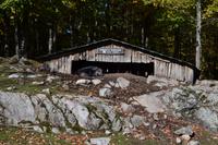 Fahrt durch den Omega-Wildpark - Wildschweine