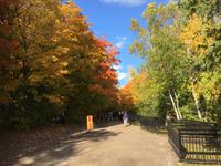 Fahrt nach La Malbaie - Zwischenstopp an den Montmorency Falls