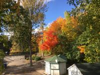 Fahrt nach La Malbaie - Zwischenstopp an den Montmorency Falls