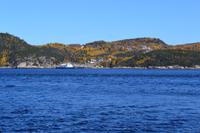 Walbeobachtung in Tadoussac - Fahrt über den Saguenay-Fjord - Wir sehen schon Belugas
