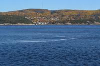 Walbeobachtung in Tadoussac - Fahrt über den Saguenay-Fjord - Wir sehen schon Belugas