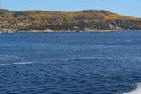 Walbeobachtung in Tadoussac - Fahrt über den Saguenay-Fjord - Wir sehen schon Belugas