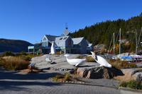 Walbeobachtung in Tadoussac - Aufenthalt in Tadoussac - Meereskundemuseum