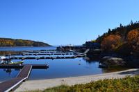 Walbeobachtung in Tadoussac - Aufenthalt in Tadoussac - Am Hafen