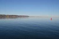 Walbeobachtung in Tadoussac - Begrüßung durch Kegelrobben