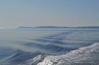 Walbeobachtung in Tadoussac - Wir fahren weiter zur nächsten Stelle