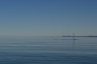 Walbeobachtung in Tadoussac - Dort sehen wir Zwergwale, Buckelwale und sogar Finnwale