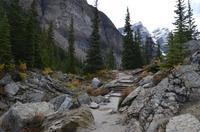 Pfad zum Moraine Lake