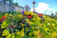 Tag 2 – Niagara Falls (29)