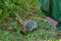 Tag 2 – Niagara on the Lakes (3)