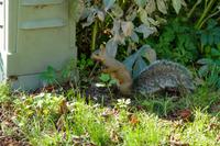 Tag 2 – Niagara on the Lakes (4)