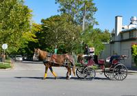 Tag 2 – Niagara on the Lakes (13)