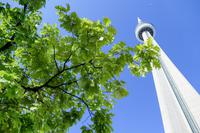 Tag 2 – Stadtbesichtigung Toronto (1)