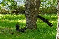 Tag 2 – Stadtbesichtigung Toronto (13)