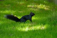 Tag 2 – Stadtbesichtigung Toronto (14)