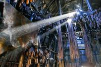 Tag 3 – Sainte-Marie Among the Hurons (2)