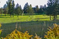 Tag 3 – Stadtbesichtigung Toronto (4)