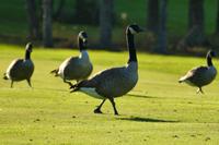 Tag 3 – Stadtbesichtigung Toronto (5)