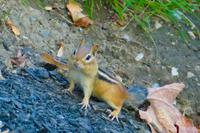 Tag 3 – Stadtbesichtigung Toronto (8)