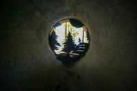 Tag 4 – Algonquinpark, Alter Feuerturm  (2)