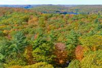 Tag 4 – Algonquinpark, Alter Feuerturm  (7)