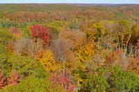 Tag 4 – Algonquinpark, Alter Feuerturm  (8)