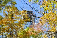 Tag 4 – Algonquinpark, Alter Feuerturm  (13)