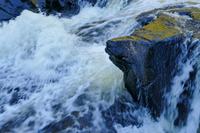 Tag 4 – Algonquinpark, Kanutour  (13)