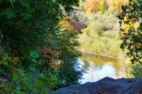 Tag 4 – Algonquinpark, Kanutour  (15)