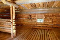 Tag 5 – Algonquinpark, Logging Trail (3)