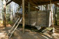 Tag 5 – Algonquinpark, Logging Trail (6)