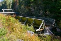 Tag 5 – Algonquinpark, Logging Trail (8)