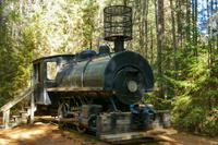 Tag 5 – Algonquinpark, Logging Trail (11)