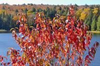 Tag 5 – Algonquinpark, VisitorCenter (1)