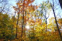 Tag 5 – Algonquinpark, VisitorCenter (3)