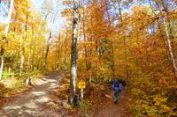 Tag 5 – Algonquinpark, VisitorCenter (4)