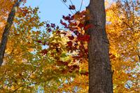 Tag 5 – Algonquinpark, VisitorCenter (5)