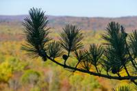 Tag 5 – Algonquinpark, VisitorCenter (9)