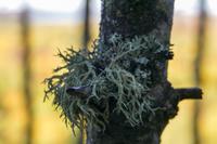 Tag 5 – Algonquinpark, VisitorCenter (10)