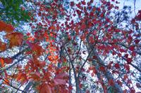 Tag 5 – Algonquinpark, VisitorCenter (11)