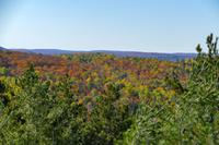 Tag 5 – Algonquinpark, VisitorCenter (14)