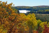 Tag 5 – Algonquinpark, VisitorCenter (18)