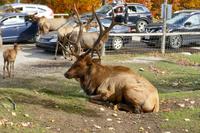 Tag 6 – Besuch Omega-Wildlife-Park (1)