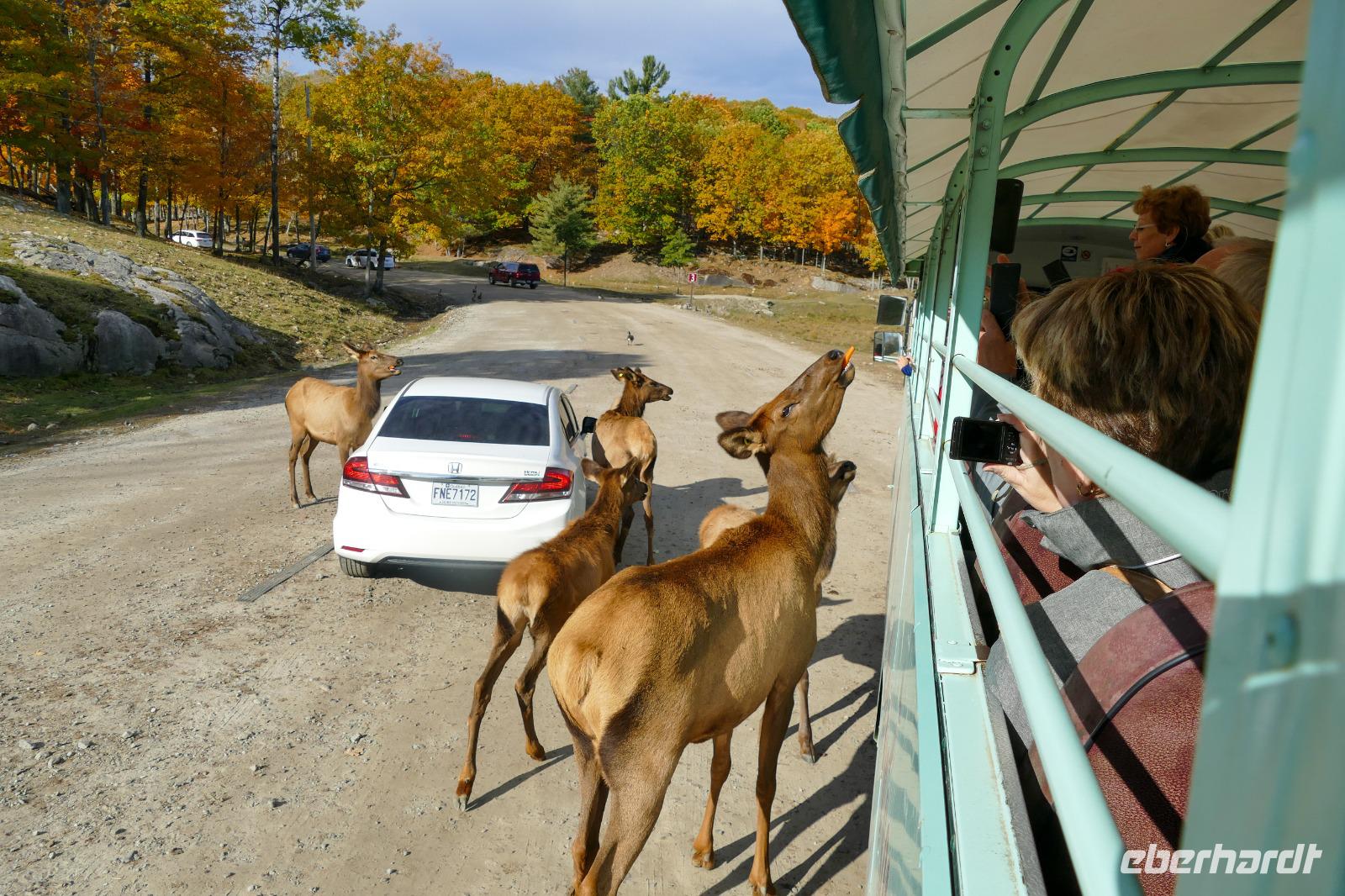 Tag 6 – Besuch Omega-Wildlife-Park (4)