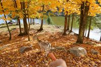 Tag 6 – Besuch Omega-Wildlife-Park (11)