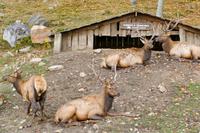 Tag 6 – Besuch Omega-Wildlife-Park (19)